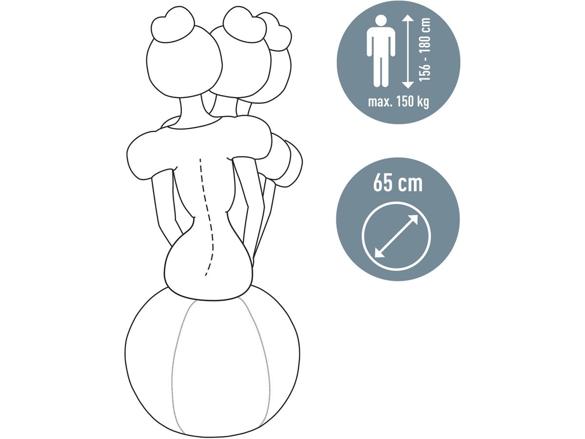 LEITZ Balle assise Ergo Active 65cm 6542-00-89 gris (4002432134779)