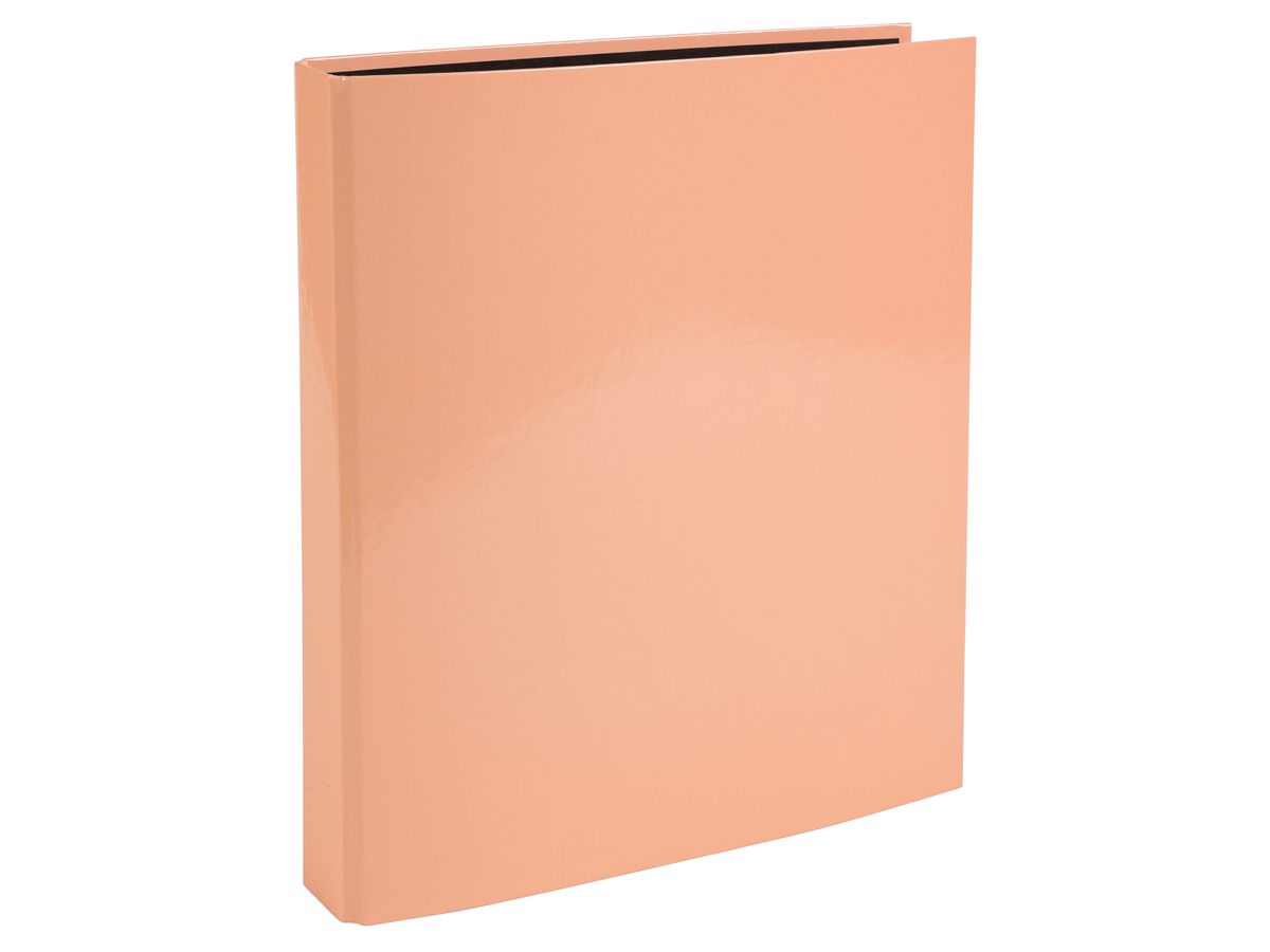 EXACOMPTA Classif. Ad ann. Aquarel 2.5cm 51560E ass. 4 anelli /A4 (3130630515609)