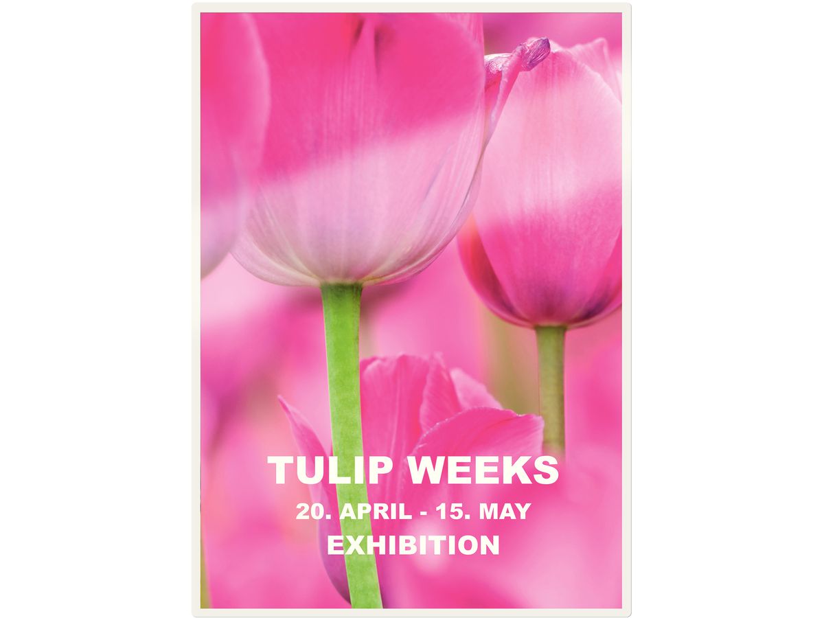 LEITZ Pochettes à plastifier A5 74930000 brillant, 125my 100 pcs. (4002432397778)