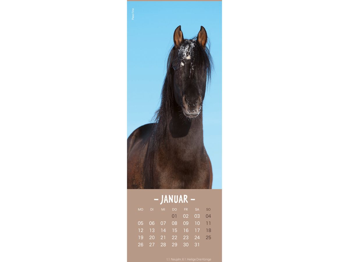 HEYE Lesezeichen-Kal. Pferde 2026 21475+26 DE 6x18cm (9783756410378)