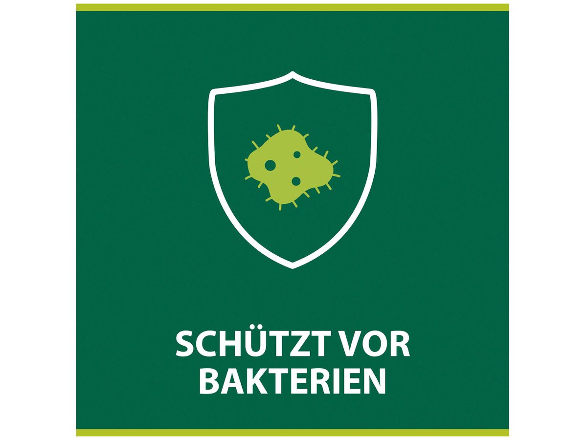 PALMOLIVE Küchen-Handseife 300ml IT05463A (8003520042705)