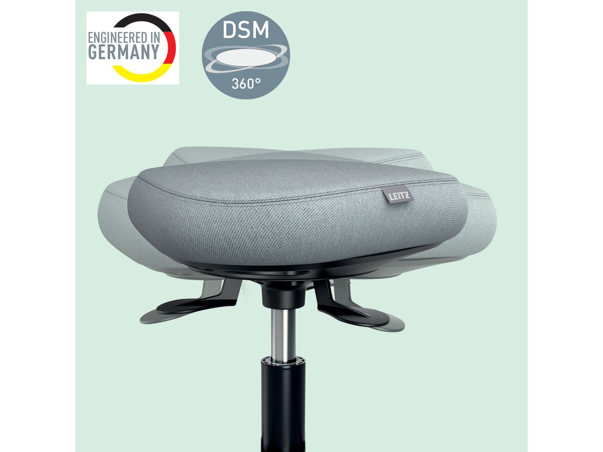 LEITZ Tabouret Ergo Active 6577-00-95 Roulettes, équilibre, noir (4002432136094)