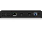 ICY BOX Multi Dockingstation IB-DK2251AC (4250078169765)