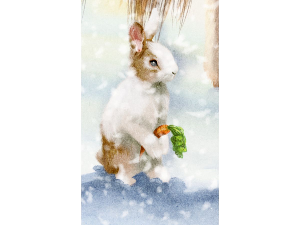 COPPENRATH Wandkalender 72644 Winterpferde (4050003726441)