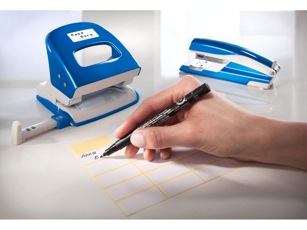 AVERY ZWECKFORM Etichette casa 16×9mm 3072 bianco 294 pezzi (4004182030721)