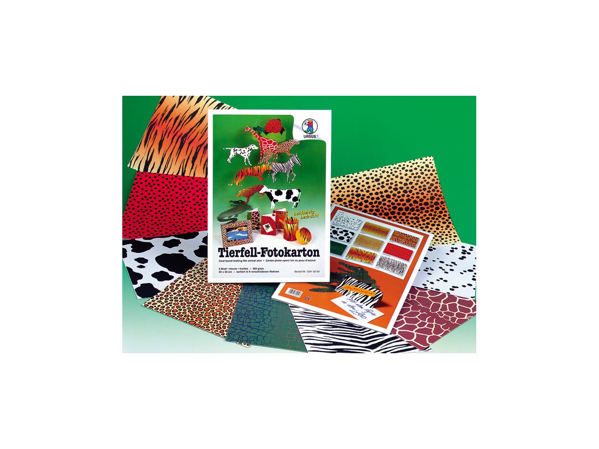 URSUS Cartone per foto 23x33cm 12910099 motivo 9 fogli (4008525600107)