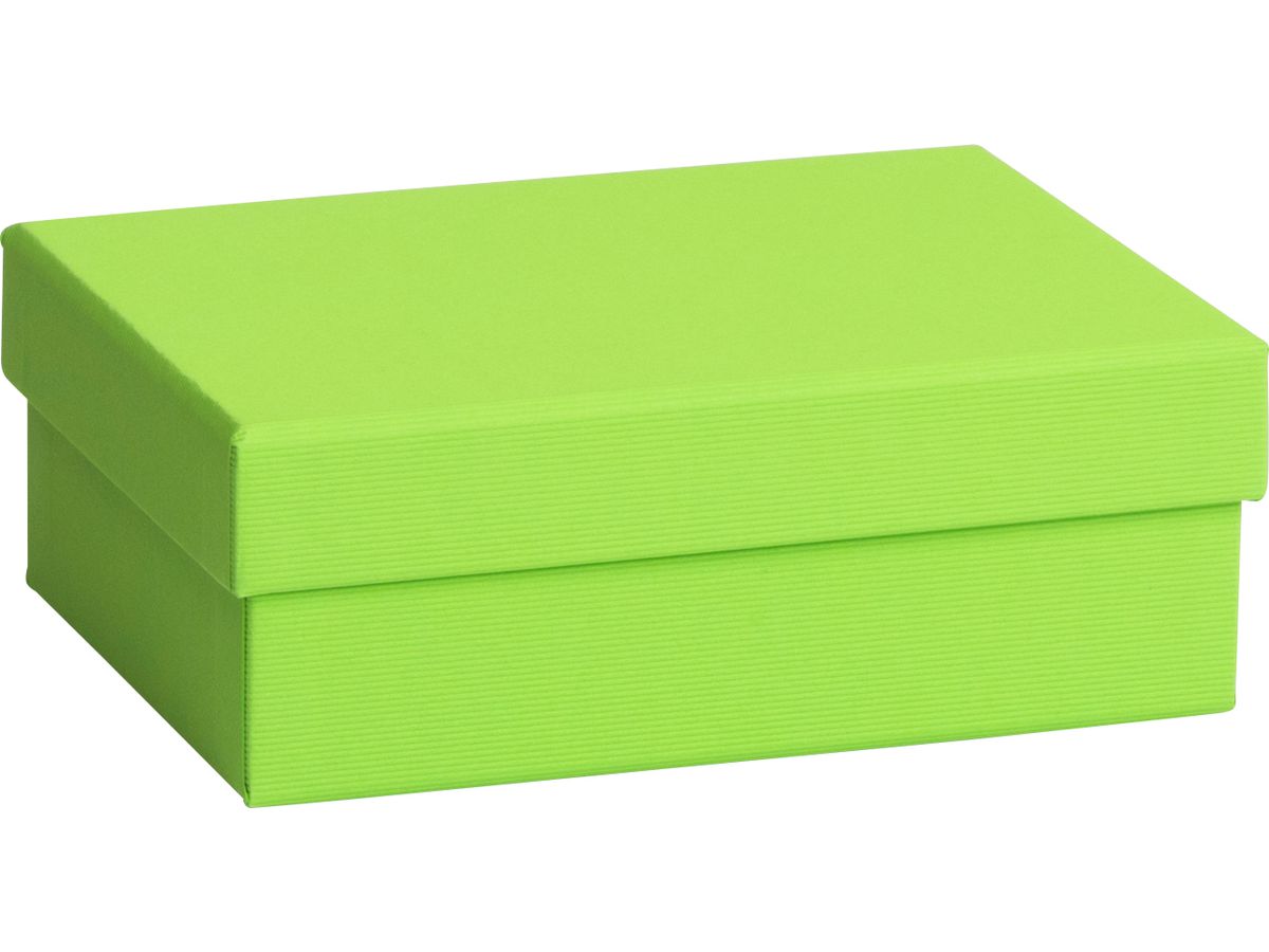 STEWO Geschenkbox One Colour 2551782891 grün hell 12x16.5x6cm (7630050846483)