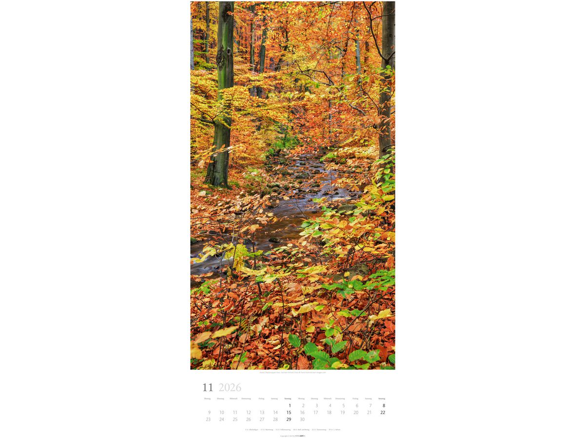 WEINGARTEN Calendario 2026 3150200+26 Im Wald DE 33x68cm (9783839902189)