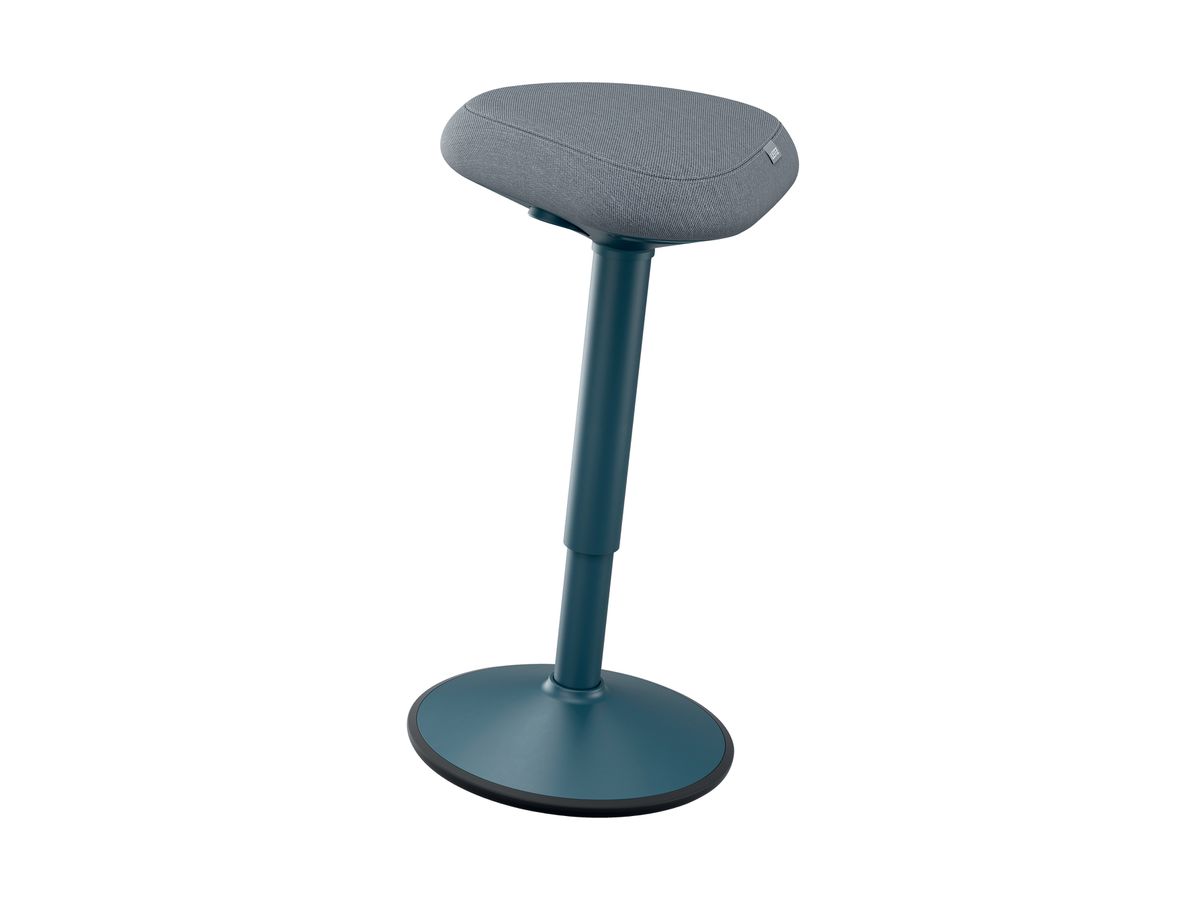 LEITZ Tabourets de bar Ergo Acitv 6545-00-89 gris (4002432138432)