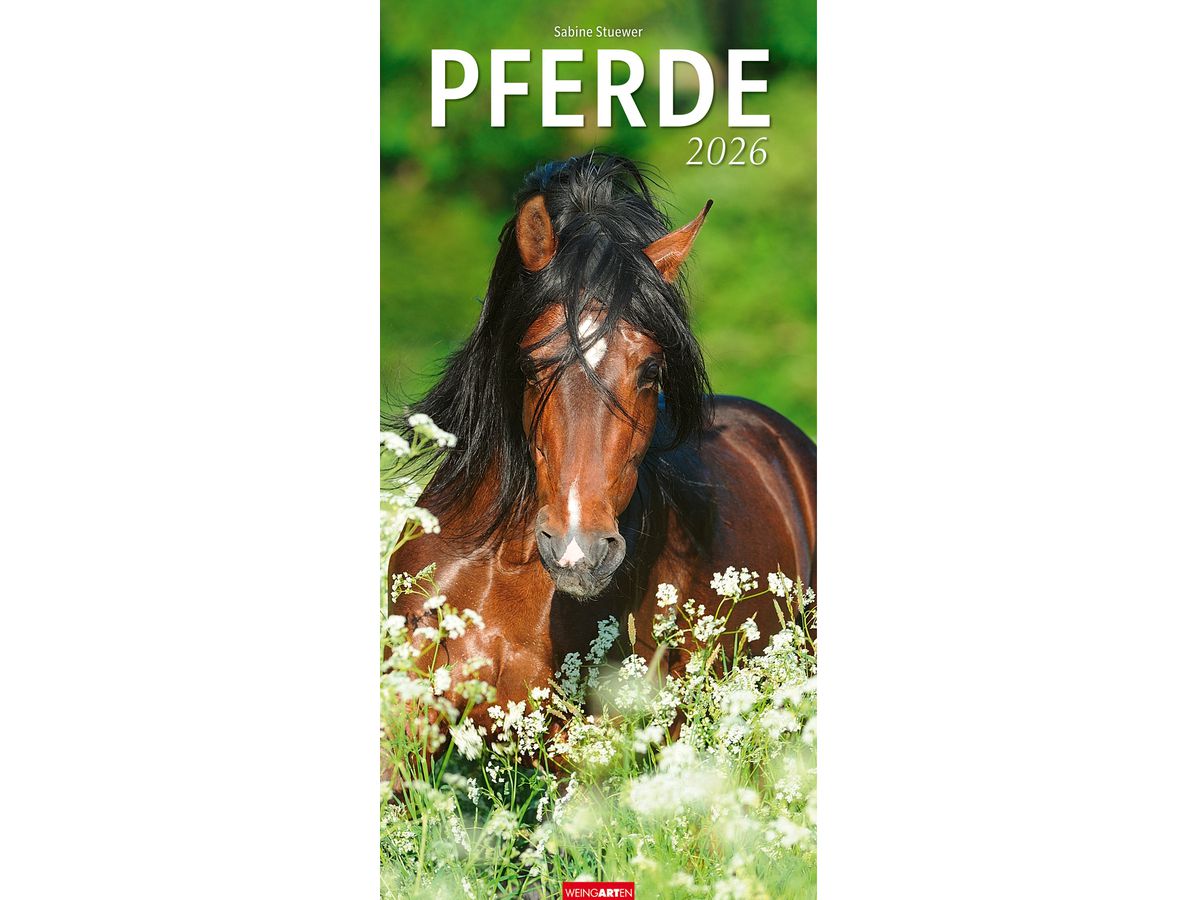 WEINGARTEN Bildkalender 2026 3119300+26 Pferde DE 33x68cm (9783839903032)