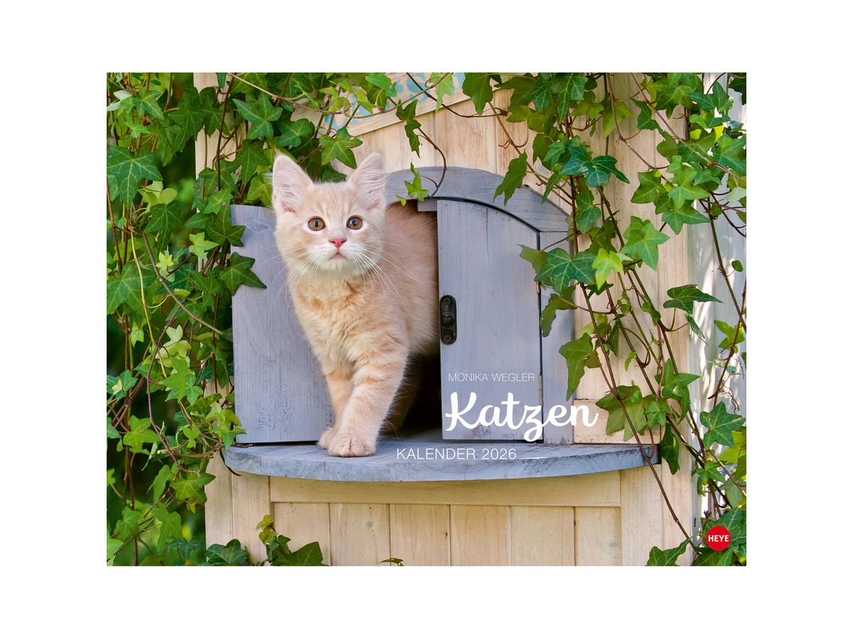 HEYE Bildkalender 2026 23165+26 Wegler Katzen DE 44x34cm (9783756411757)