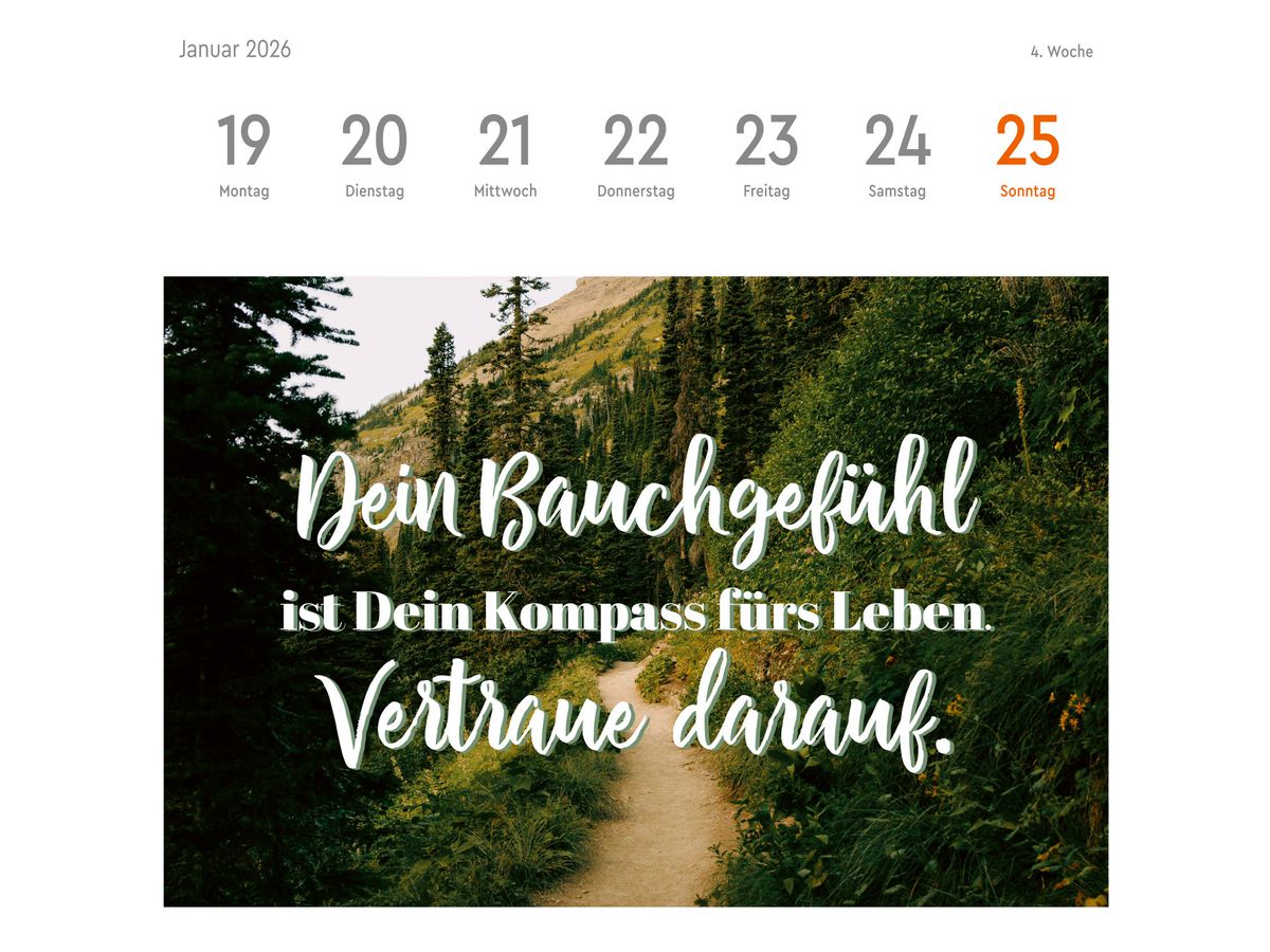 HEYE Cal. de cartes postales 2026 23558+26 Statements 16.5x17.7cm (9783756412617)