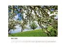 APPENZELLER Bildkalender 2026 9783858829047 Appenzeller DE 40x31cm (9783858829047)