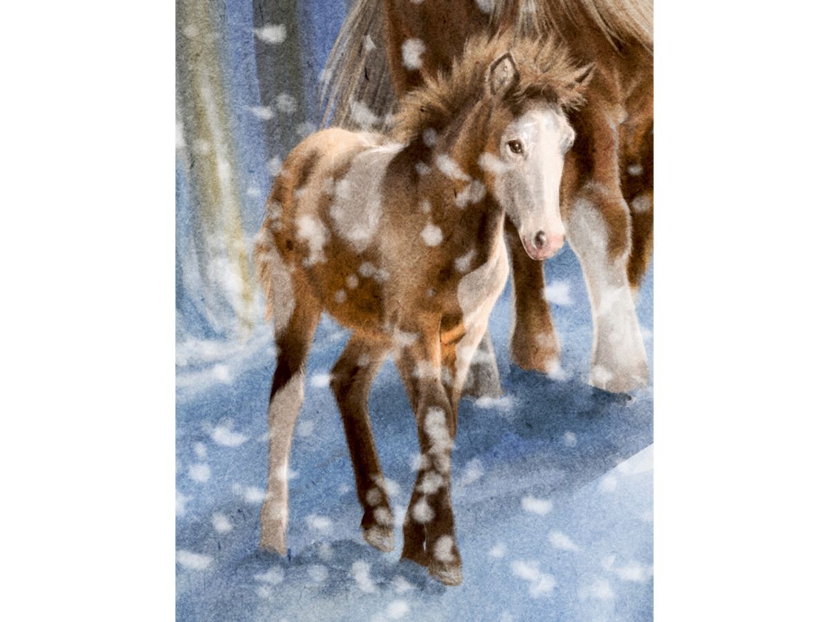 COPPENRATH Wandkalender 72644 Winterpferde (4050003726441)