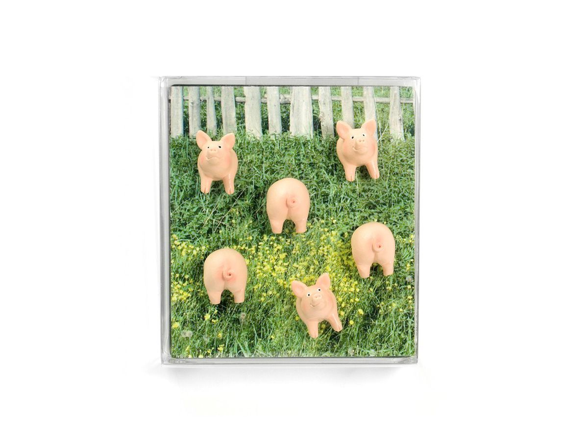TRENDFORM Magnete PIGGY FA4593 6er Set assortiert (7640169364044)