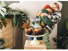 PARTYDECO Caketopper 12cm KPT71 Dinoaurier 6 Stück (5904555025912)