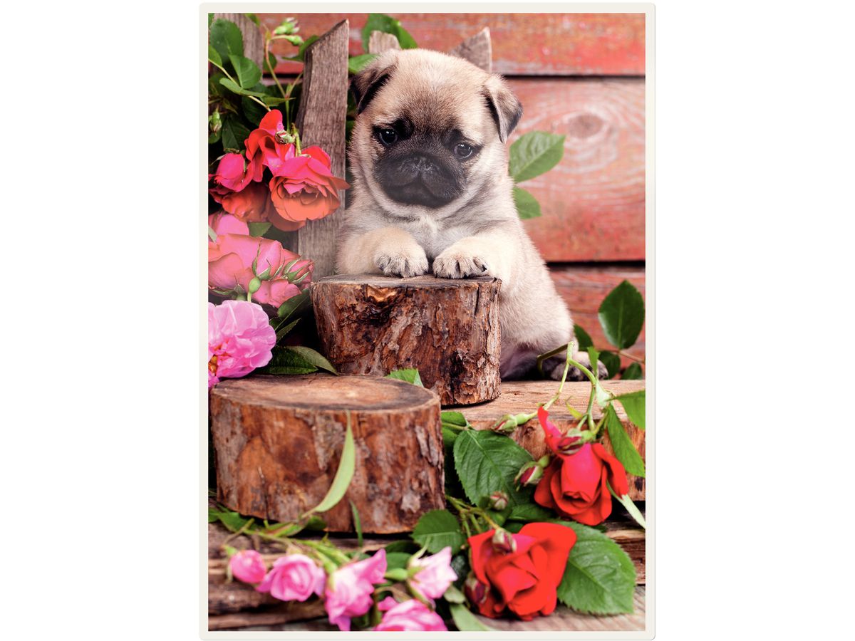 LEITZ Laminiertasche A3 16924 matt, 125my 100 Stk (5411313169240)