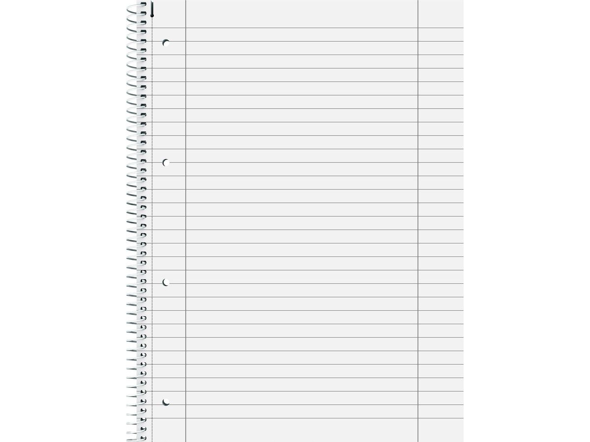 BRUNNEN Cahier à spirale Student A4 1067427 ligné avec marge 80 feuilles (4003273690363)