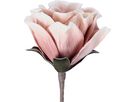 EGLO Fleur artificielle MOLAVE 428128 rose (9008606279012)