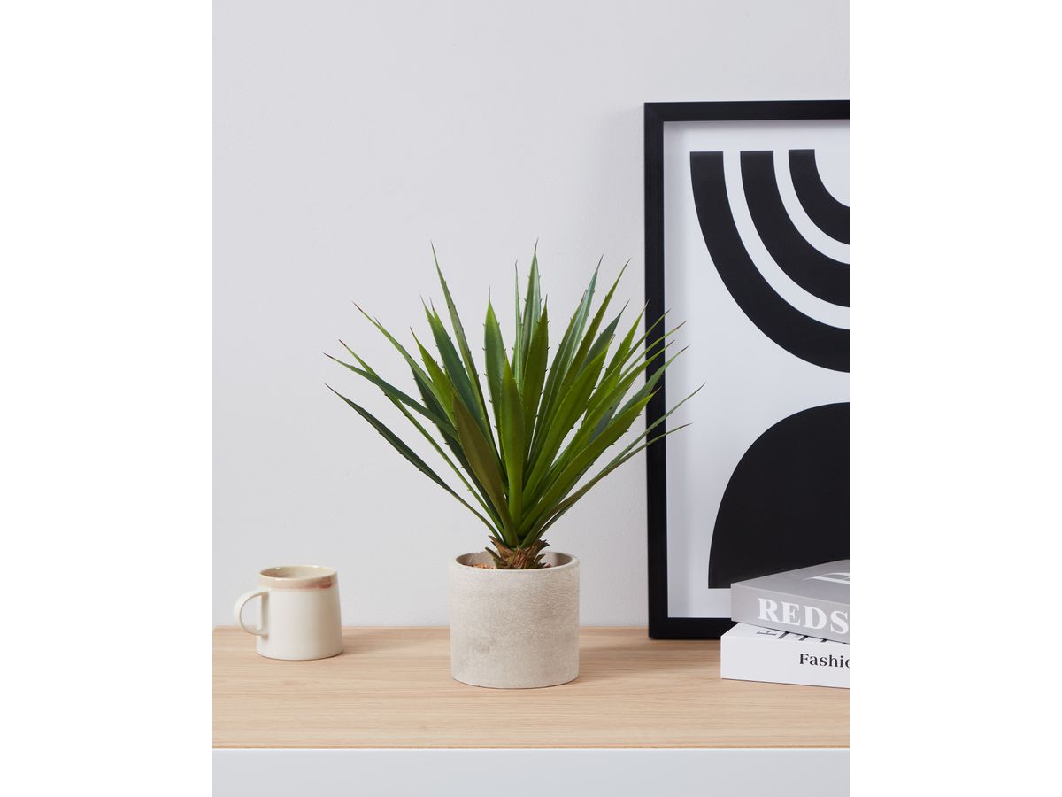 EGLO Pianta artificiale 39cm 428016 verde, in vaso (9008606253357)