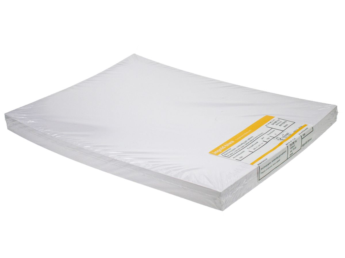 INGOLD-BIWA Papier à dessin A4 04.08.14 180g, vide 100 feuilles (7640128082200)