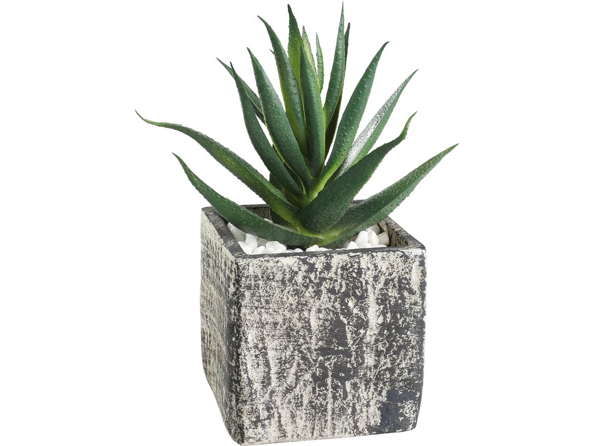 EGLO Plante artificielle 12cm 428008 vert, en pot (9008606253289)