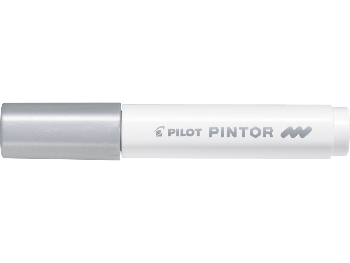 PILOT Marker Pintor M SW-PT-M-S argento (4902505542091)