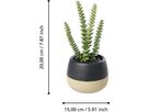EGLO Plante artificielle 20cm 428494 vert, en pot (9008606367931)