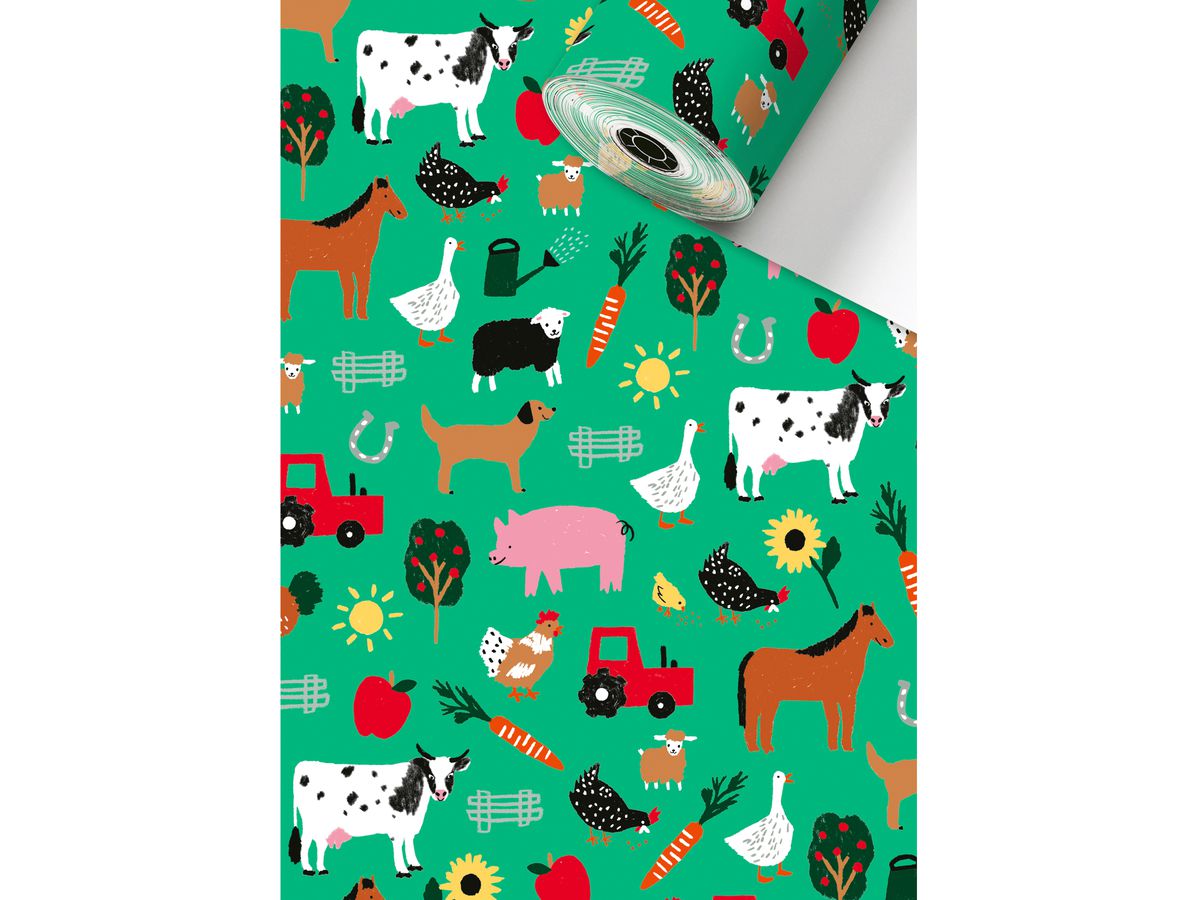 STEWO Appareil rouleaux de papier 2522533145 Wila 0.5x250m (7630050868799)