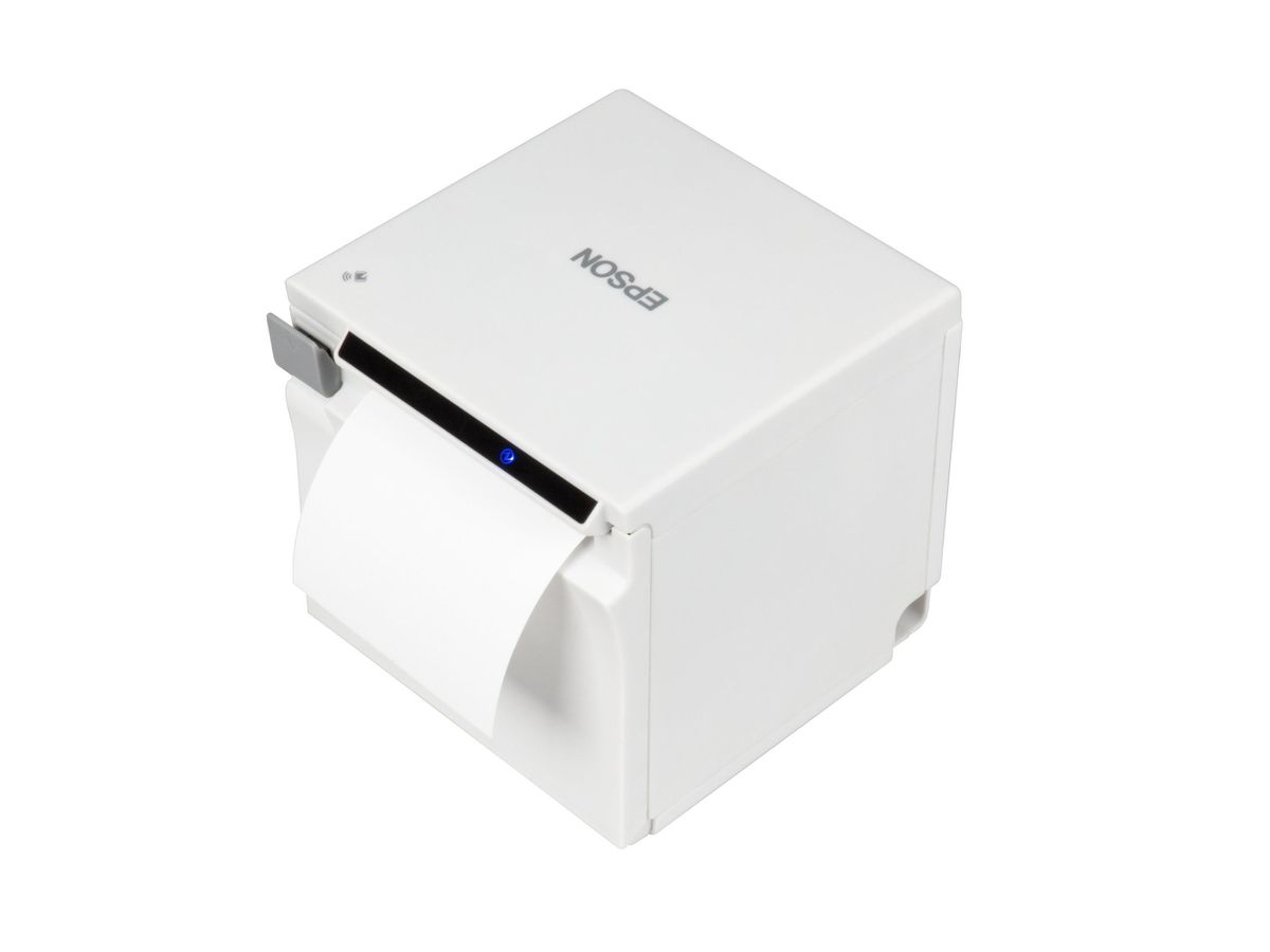 EPSON Imprimante pour lecteurs C31CJ27111 (8715946685052)