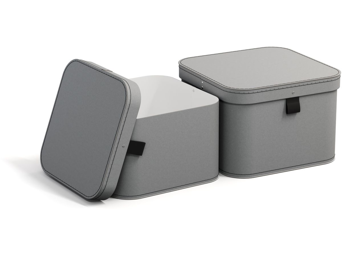BIGSO BOX OF SWEDEN Boîte de rangement Ludvig 746254133FL0 gris 2er-Set (7330061084170)