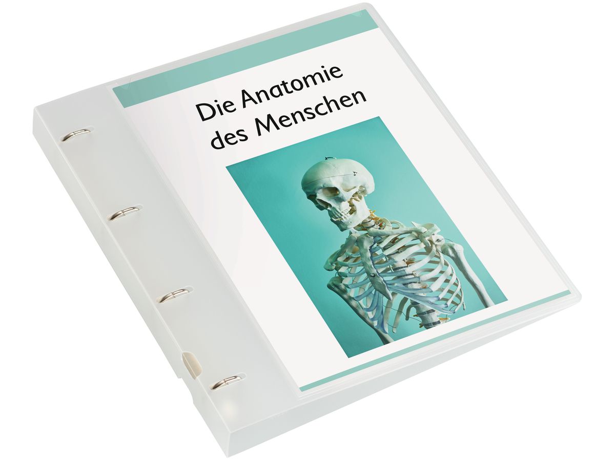 KOLMA Livre prés. Vario KF A4 02.018.00 blanc, 4-anneaux 20mm (7611967020944)