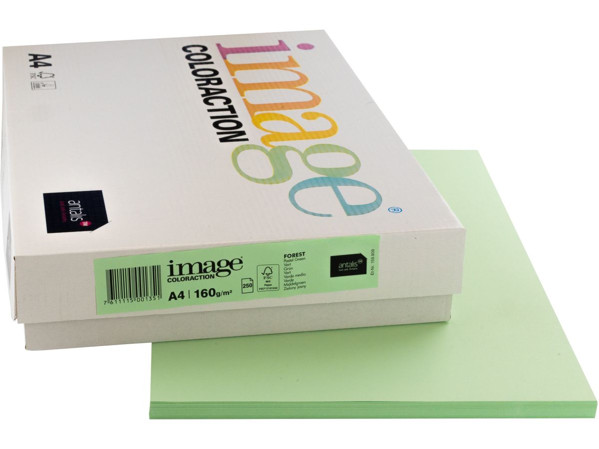 IMAGE COLORACTION Copying Paper Forest A4 266761 160g, verde 250 fogli (7611115001351)