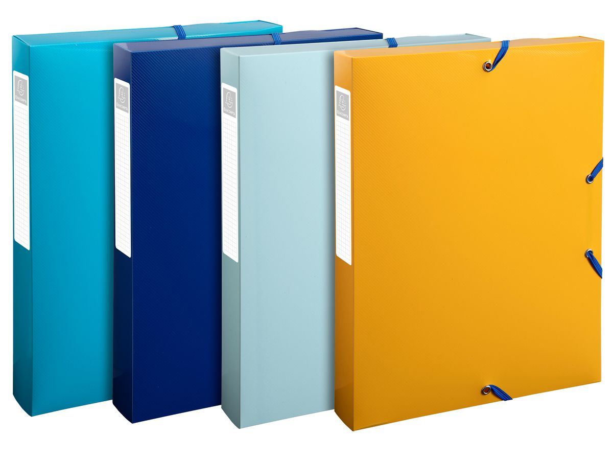 EXACOMPTA Box collezione con elsti A4 59140E ordinata PP (3130630591405)