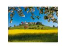 CALENDARIA Bildkalender 2026 9783036205137 Switzerland ML 31.5x23cm (9783036205137)