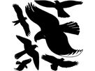 Z-DESIGN Fensterbild Vögel 4485 schwarz 1 Blatt/6 Stück (4004182044858)