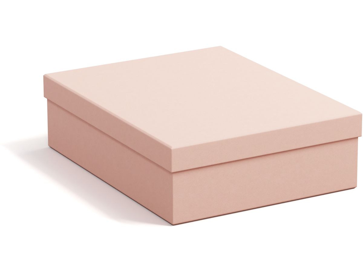 BIGSO BOX OF SWEDEN Scatola portaoggetti Cindy 325552133 dusty pink 5er-Set (7330061084057)