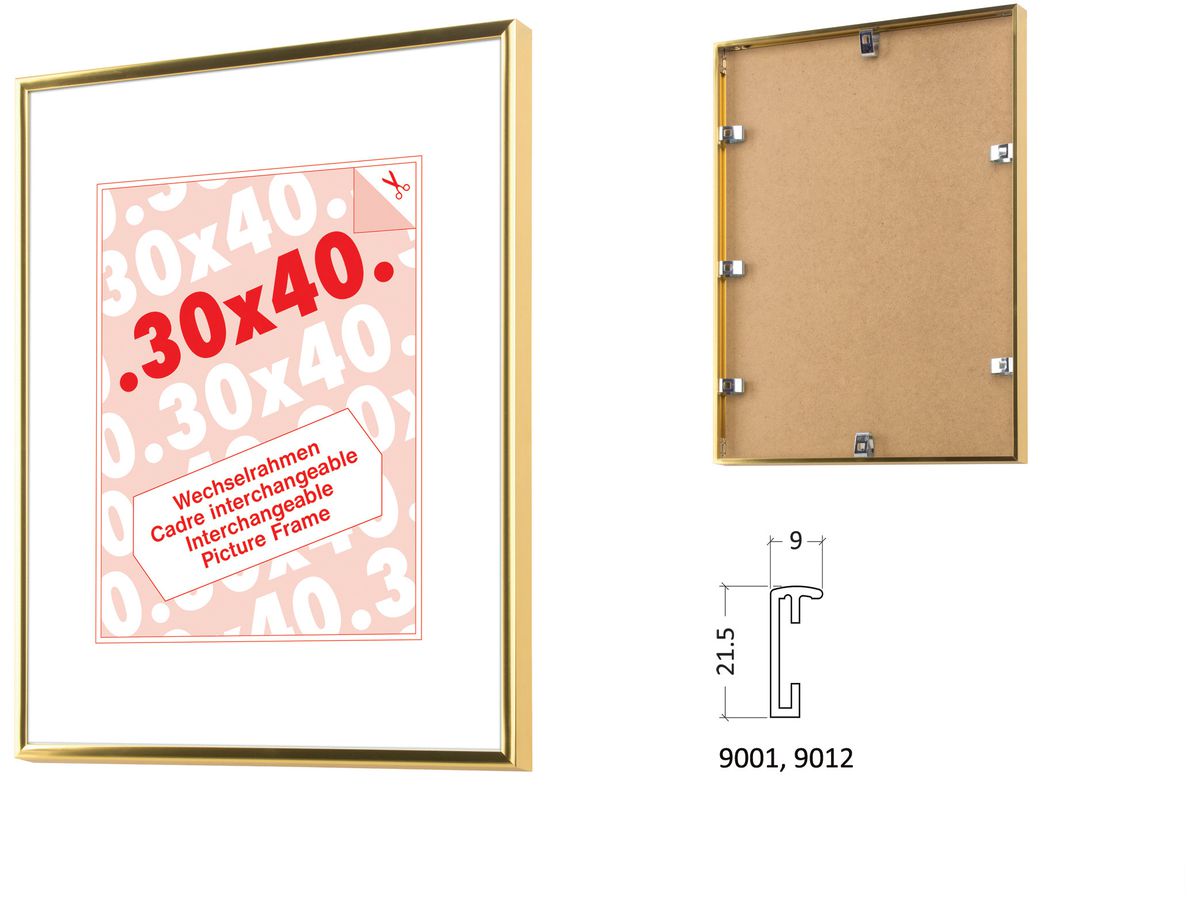 DEBEX Cadre 18×24cm 901201-180X2 Alu or (7611195121161)