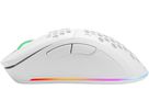 DELTACO Lightweight Gaming Mouse,RGB GAM-120-W Wireless, White, WM80 (7333048050618)