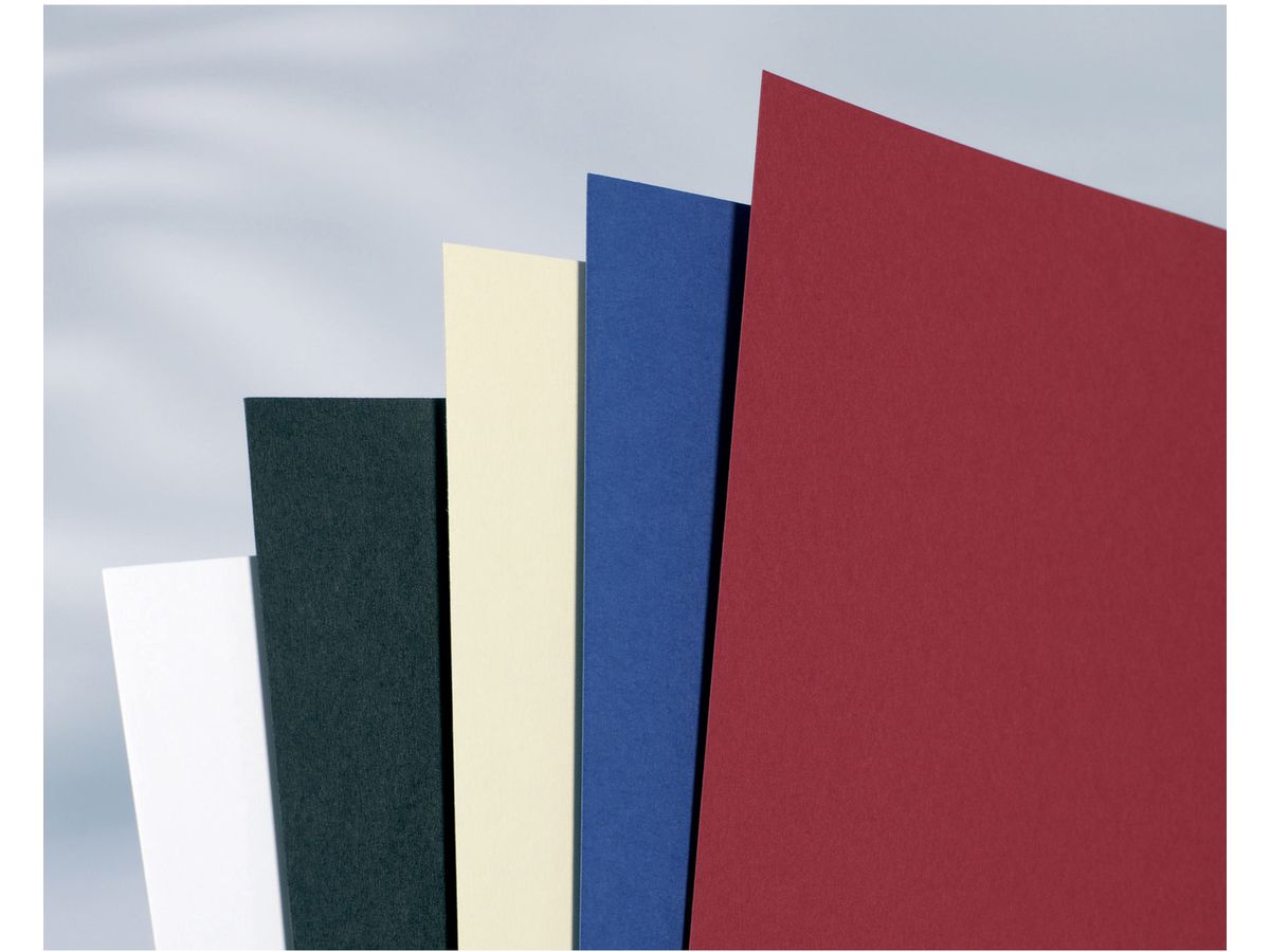 GBC Karton Traditional A4 IB421082 weiss, 350g 100 Stück (0013465421082)