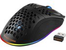 DELTACO Lightweight Gaming Mouse,RGB GAM-120 Wireless, Black, DM220 (7333048050601)