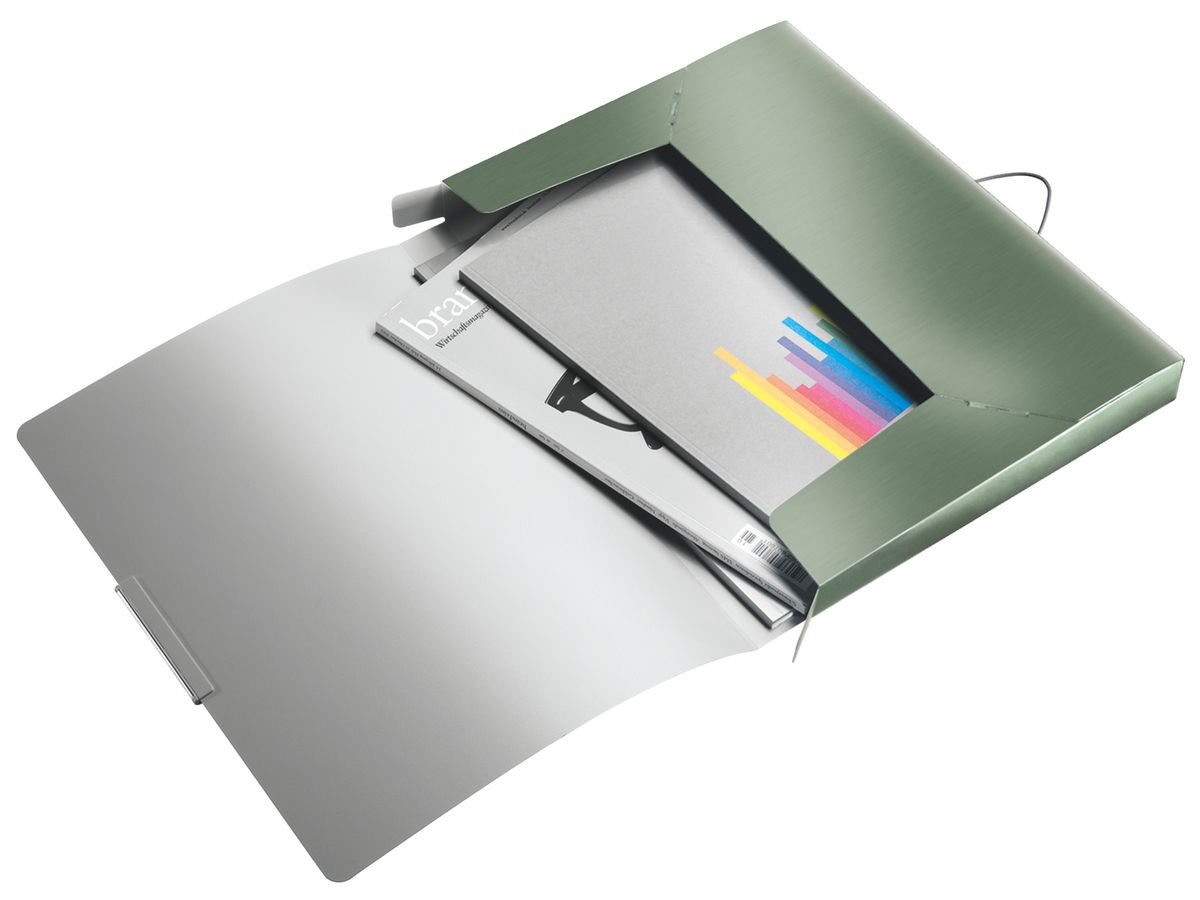 LEITZ Scatola archivio Style PP 39560053 seladon verde 250x330x37mm (4002432108060)