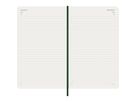 MOLESKINE Agenda Classic Large 2026 DSK1512DC3Y26 1G/1P verde mirto SC 13x21cm (8056999275594)