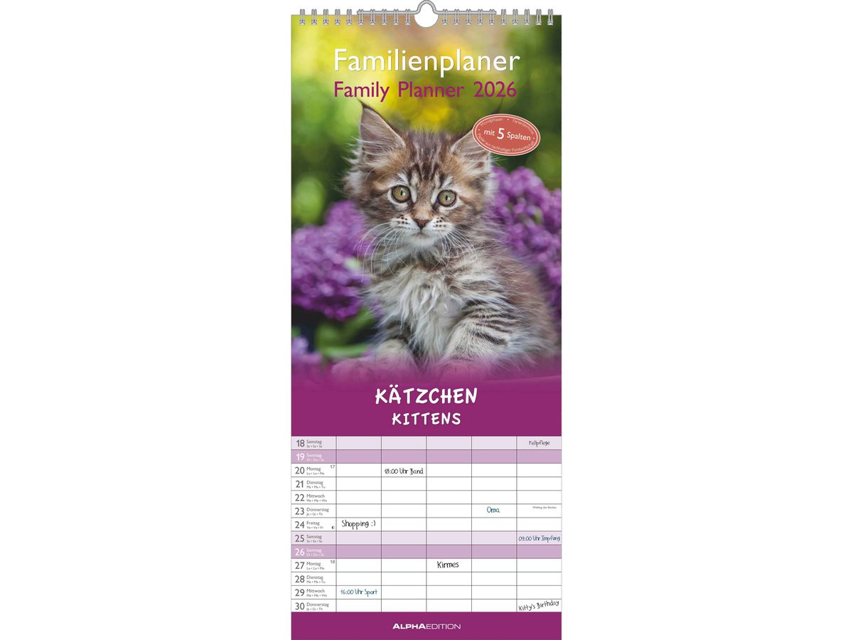 ALPHA EDITION Familienplaner 2026 160337 Kätzchen 19.5x45cm (4069095003378)