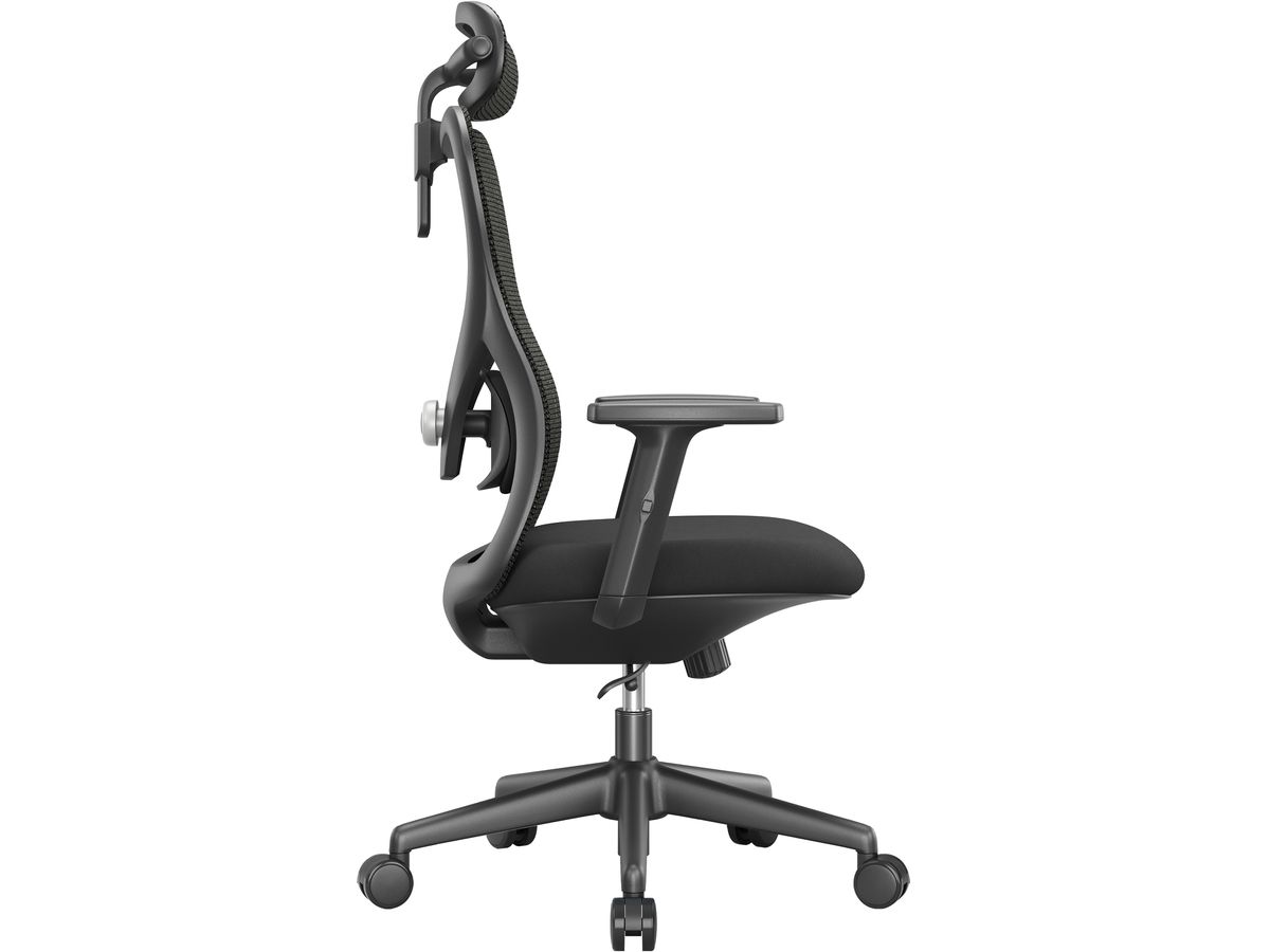 APOLLO Chaise de bureau Vyra CH-539A noir (7613058039996)