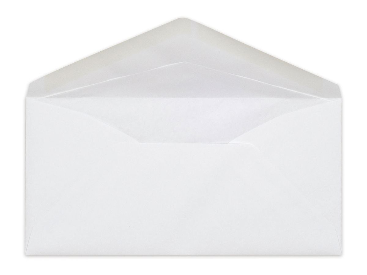 ELCO Busta Dom s/finestra C6/5 33027.10 100g, bianco 250 pezzi (7610425924114)