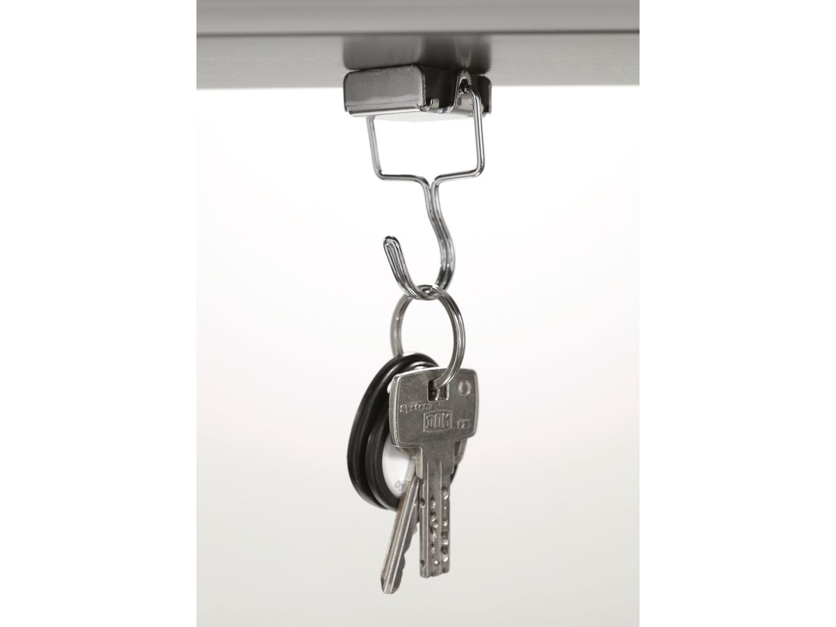 MAGNETOPLAN Aimant avec Crochet 65mm 16667 argent (4013695044538)