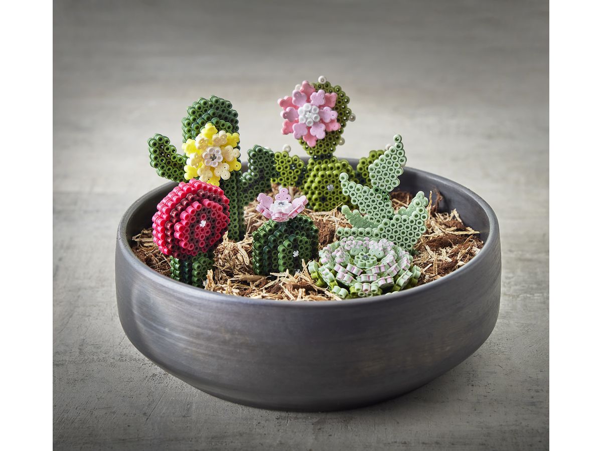 HAMA Set des perles Midi 3621 Succulentes (0028178036218)