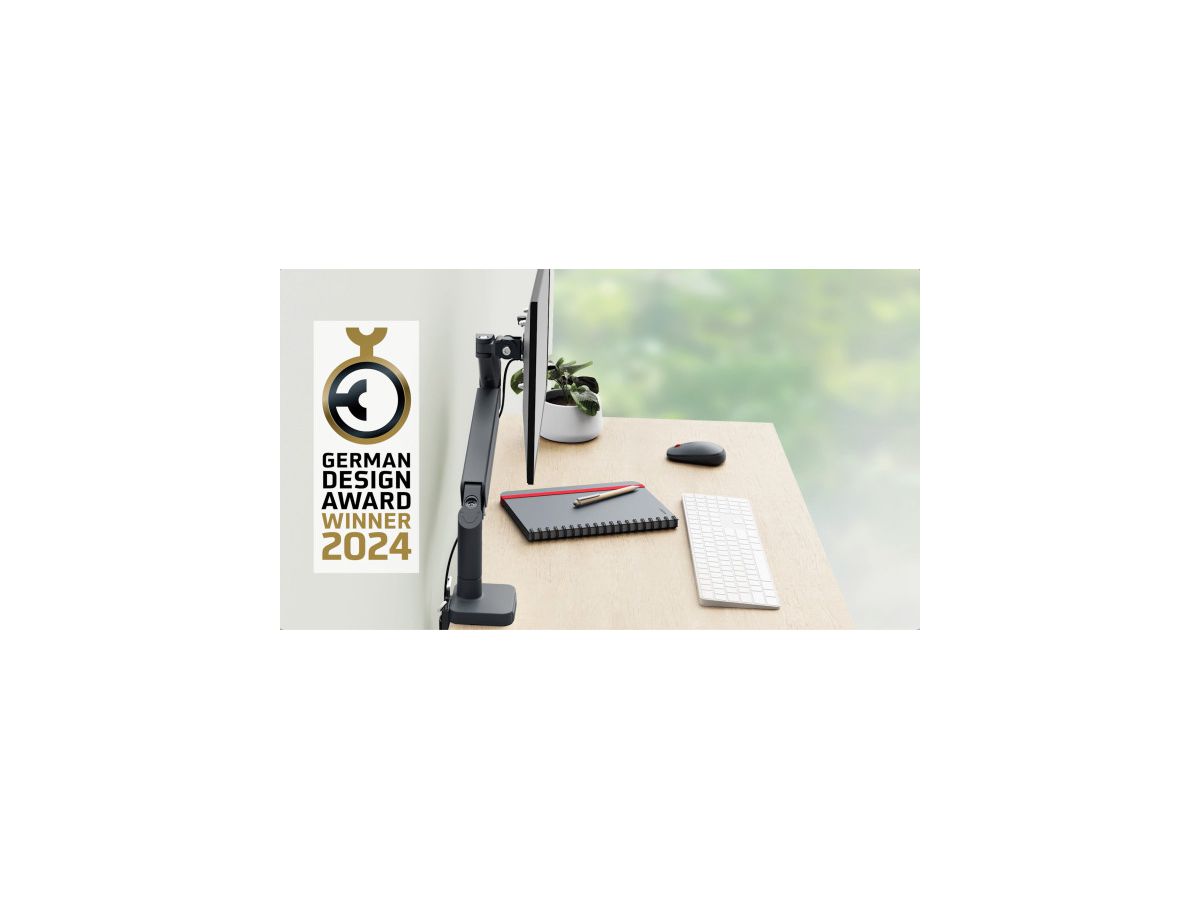 LEITZ Monitorarm ERGO 6489-00-89 grau, single (4002432134663)