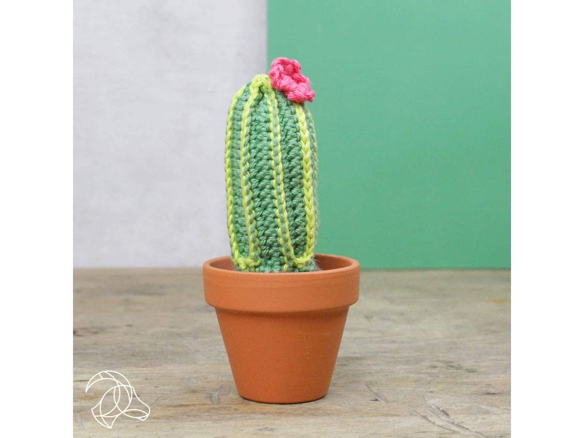 HARDICRAFT Set per uncinetto HC-40MB013 Cactus (8719244510009)